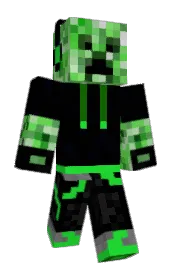 Skin preview