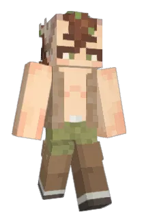 Front of beetlebarks's skin