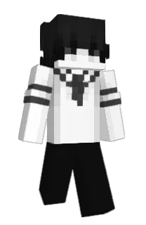 Front of 444finn's skin