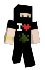Skin preview