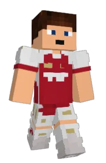 Front of sfrmc's skin