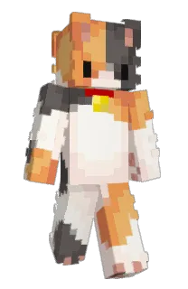 Front of Furlight's skin