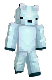 Front of omershmader's skin
