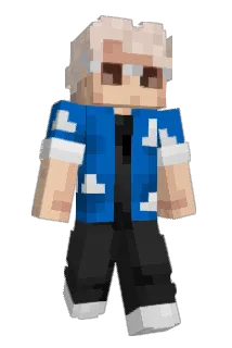 e1n Minecraft avatar full body