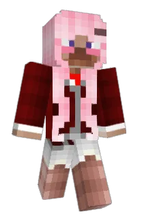 Front of Minecraft skin
