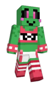 Skin preview