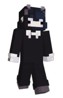 Front of Brile's skin