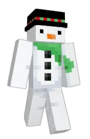Skin preview