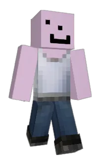 1enix's Minecraft skin