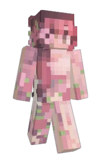 Front of mirumas's skin