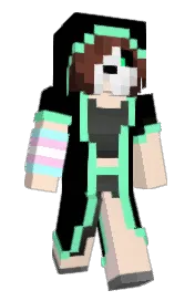 Skin preview