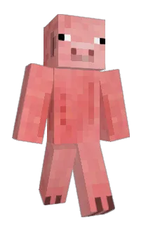 Front of Clippity's skin