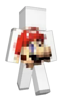 Front of Chari1y's skin