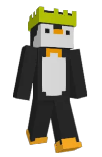 Front of Teycx's skin