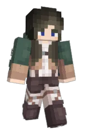 Skin preview