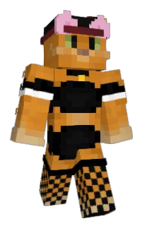 Front of t_namv's skin