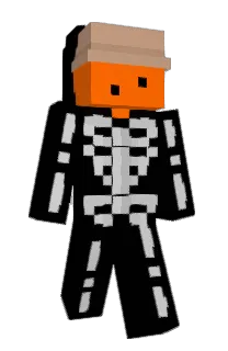 Front of 0rangeYouGlad_'s skin
