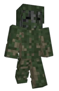 Front of not_a_storm's skin