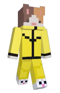 270c's Minecraft skin