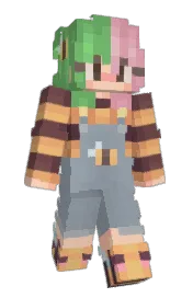 Skin preview