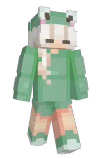 Front of Minecraft skin