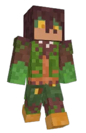 Skin preview