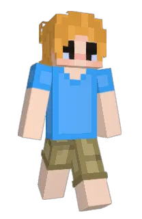 Front of NTLC's skin