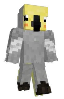 Front of Yamester's skin