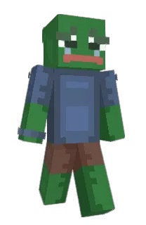 Front of vesb's skin
