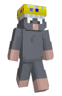 Front of dihq's skin