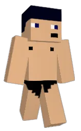 NippIeMan22's Minecraft skin wearing the Migrator cape