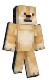 Minecraft skin — Classic model