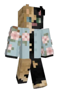 Front of Swiftdragon07's skin