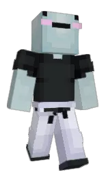 Classic Minecraft skin