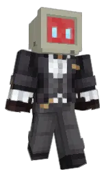 Minecraft skin — Classic model
