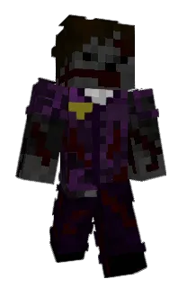 Front of Coin_Fox's skin