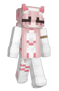 Front of timbieb's skin