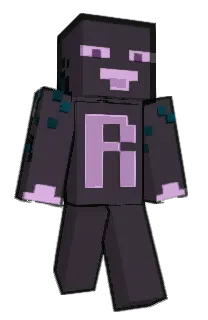 Front of NORTBE's skin