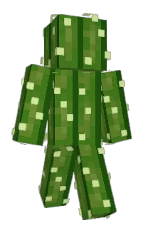 Front of katachico's skin