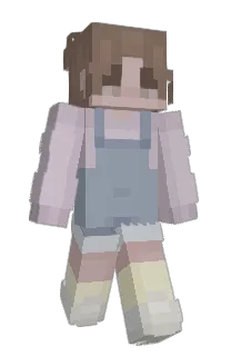Front of 1cei's skin