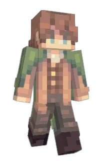 Front of Foliesc's skin