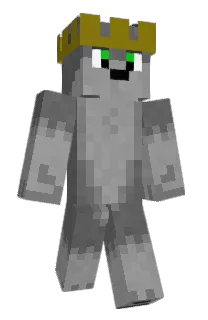 Front of MWQ101's skin