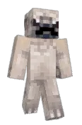 PuggyG352