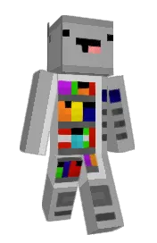 Skin preview