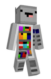 PolarGamer8's Minecraft skin