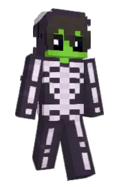 Skin preview