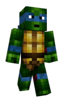 Front of Memecade's skin