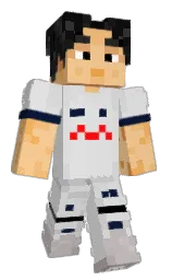 Classic Minecraft skin