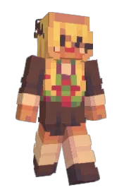 Skin preview