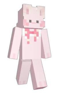 Front of P_kwangbu's skin